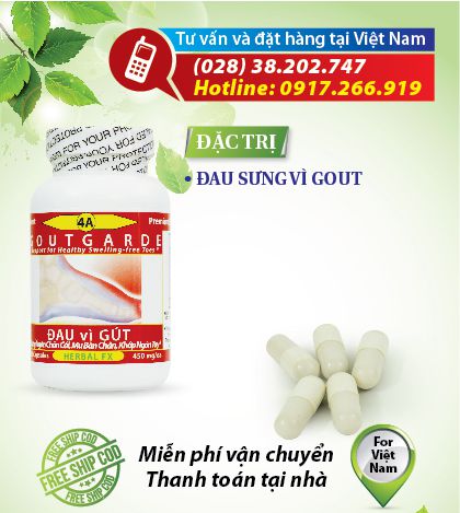 Dược Thảo Toàn Chân chai số 4A GOUTGARDE Đặc trị bệnh GOUT (GÚT)