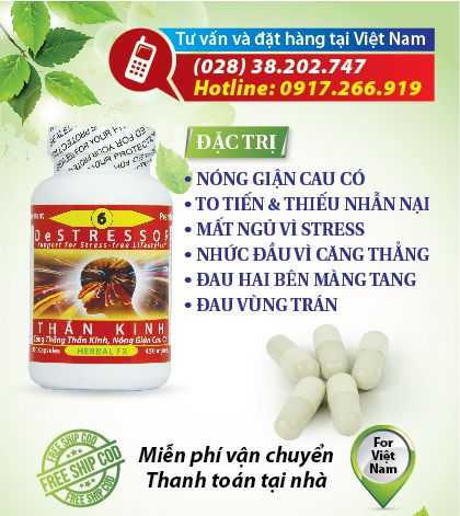 Dược Thảo Toàn Chân chai Số 6 trị Stress