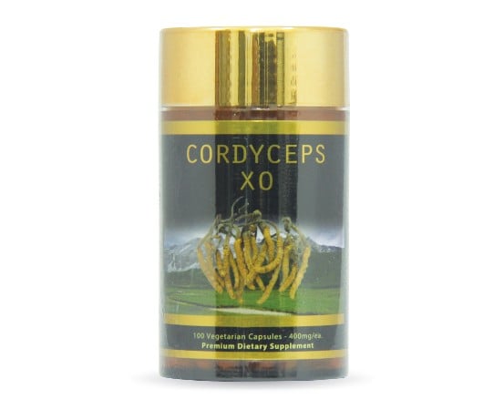 ĐÔNG TRÙNG HẠ THẢO XO – CORDYCEPS XO