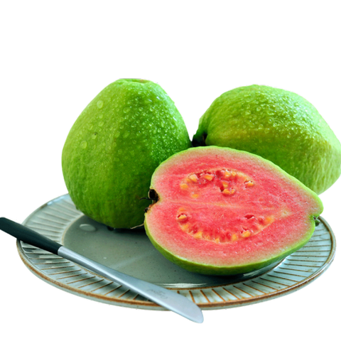 03 giống ổi ruột đỏ được ưa chuộng nhất hiện nay
