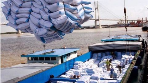 Việt Nam ngừng xuất khẩu gạo vì Covid-19