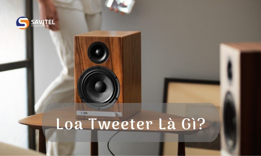 Loa Tweeter Là Gì? Tìm Hiểu Về Cấu Tạo, Vai Trò Và Cách Lựa Chọn