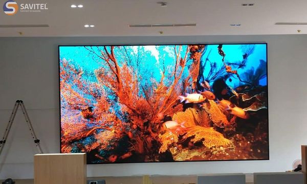 Tìm hiểu địa chỉ cho thuê màn hình LED P4 giá tốt