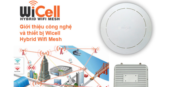 TÌM HIỂU ƯU ĐIỂM VÀ ỨNG DỤNG GIẢI PHÁP WIFI HYBRID WICELL