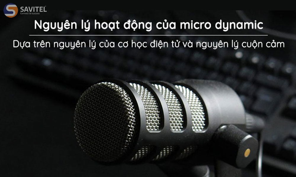 Microphone điện động (Dynamic) được sử dụng phổ biến nhất hiện nay