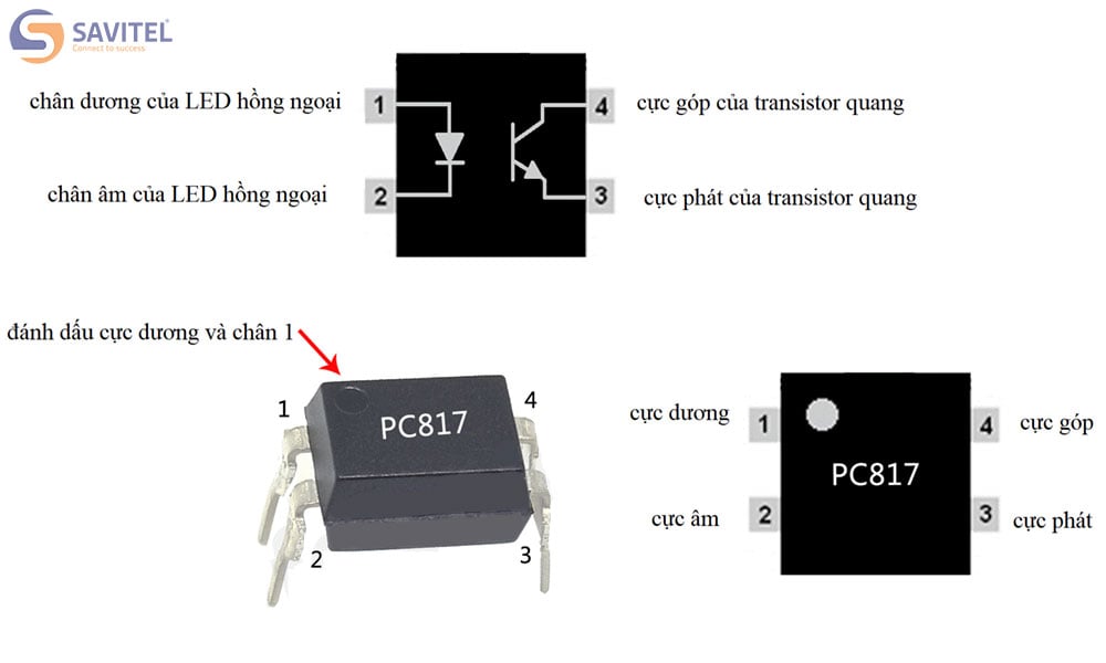 Cấu tạo của một Opto gồm có cực góp và cực phát quang