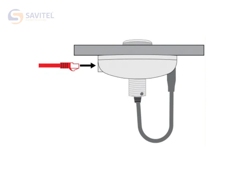 Shure MXA Mute kết nối