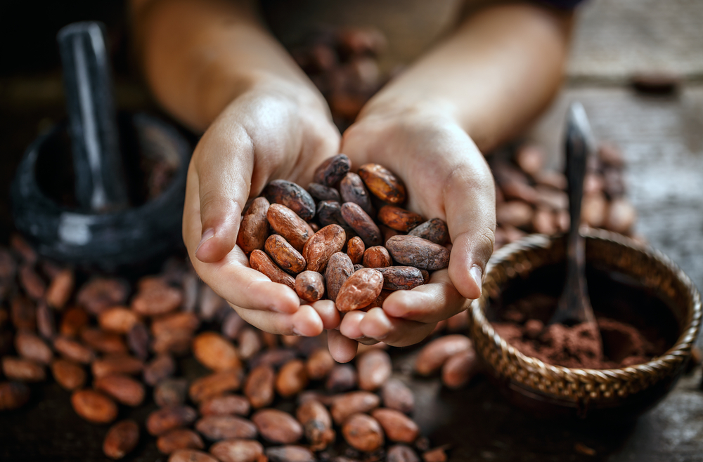 Cách làm socola từ bột cacao - HAPPI OHA