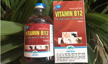 B12 VITAMIN có nên dùng cho hoa lan không?