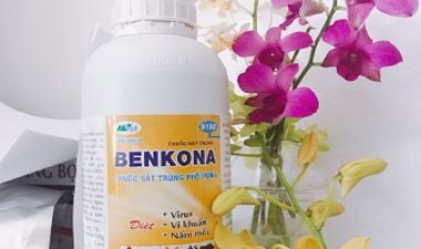 BenKona 1 lít sử dụng cho chuồng trại vật nuôi có dùng cho  hoa lan được không?