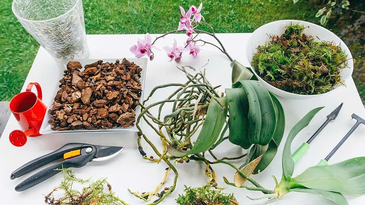 Làm Giá Thể Thoát Nước Tốt Mùa Mưa Cho Cây