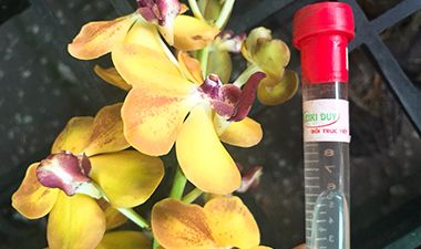 Keiki Duy Pro-Liều Doping cực mạnh cho phong lan