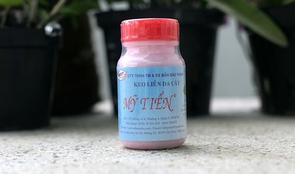 Keo liền da cây Mỹ Tiến