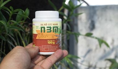 Phân bón lá N3M-Siêu sản phẩm kích rễ cho phong lan