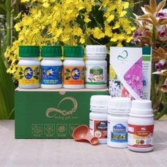 icon-/collections/phan-bon-la-1