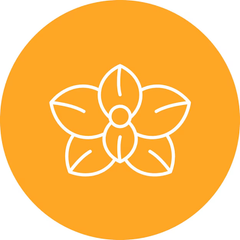 icon-Làm Hoa 