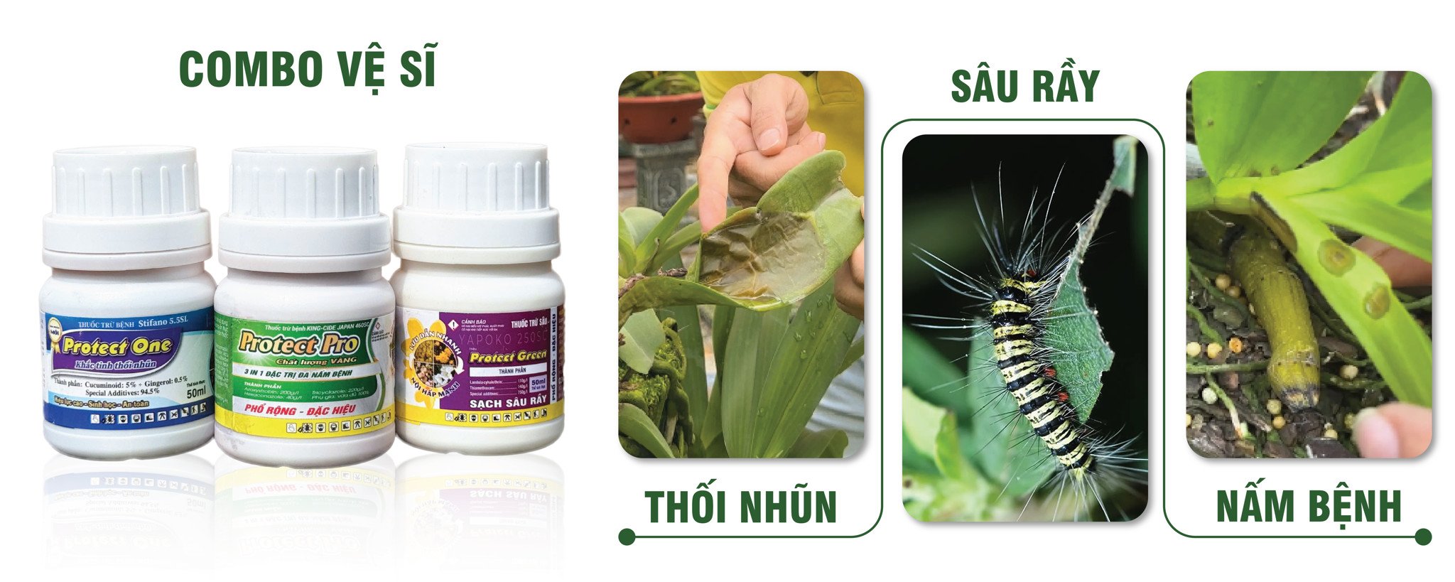 Sản phẩm nổi bật