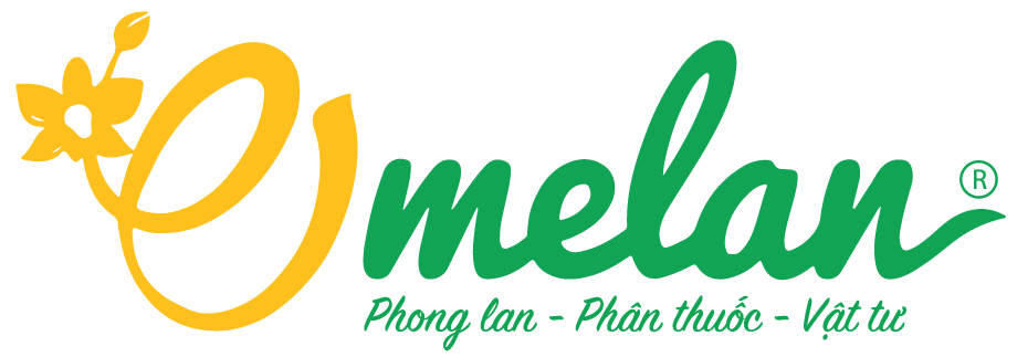 MÊ LAN | Phong Lan - Phân Thuốc - Vật Tư