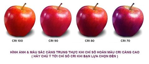 [CÓ THỂ BẠN CHƯA BIẾT] CÁCH LỰA CHỌN ĐÈN CÓ ĐỘ CHIẾU SÁNG TRUNG THỰC MÀU SẮC CAO?