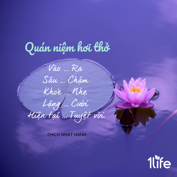 5 bài tập thở trong chánh niệm bạn có thể thực hiện ở mọi nơi, mọi lúc