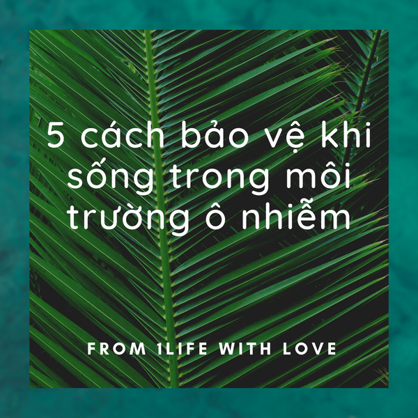 5 Cách bảo vệ khi sống trong môi trường ô nhiễm