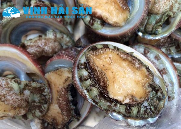 Hình ảnh bài viết