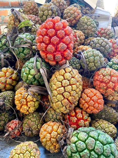 Hình ảnh bài viết