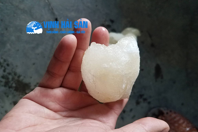 Hình ảnh bài viết