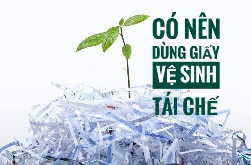 MẸO VẶT GIÚP CHỊ EM MUA GIẤY VỆ SINH AN TOÀN