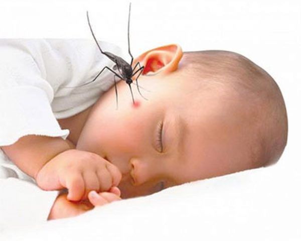 SỰ NGUY HIỂM CỦA MUỖI VÀ CÁCH PHÒNG TRÁNH