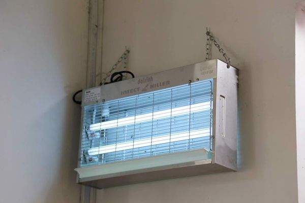 BẠN NÊN BIẾT MỤC ĐÍCH MUA ĐÈN BẮT MUỖI DÙNG CHO VỊ TRÍ NÀO ĐỂ HIỆU QUẢ CAO NHẤT