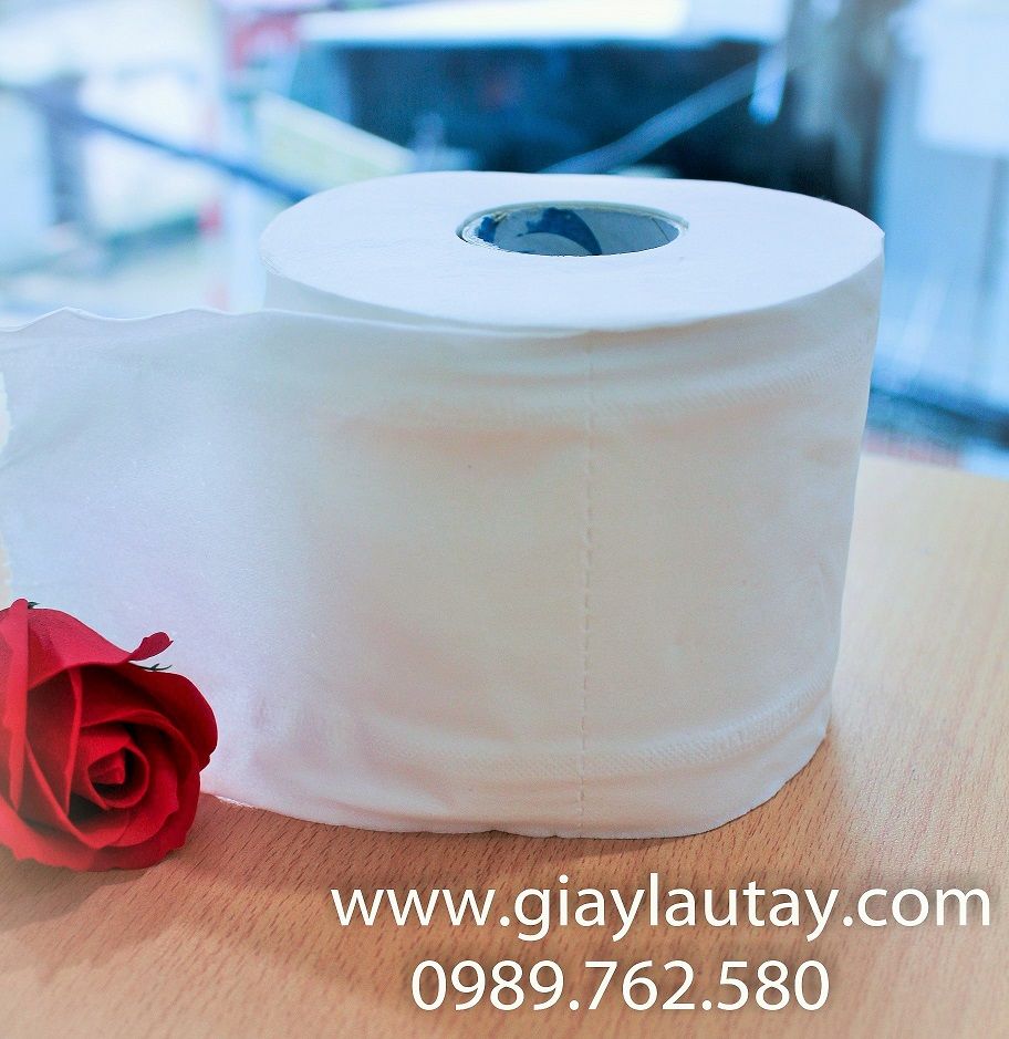 Top 05 nhãn hiệu giấy vệ sinh tốt nhất trên thị trường Việt Nam