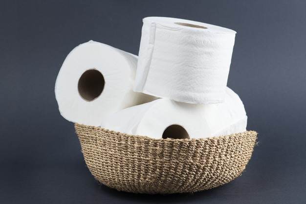 Tái chế ống giấy vệ sinh thành những món đồ độc đáo