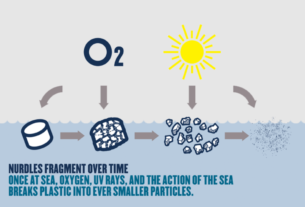 Recycling still the most Effective waste disposal method, report finds