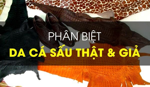 Cách Phân Biệt Ví Da Cá Sấu Thật & Ví Da Cá Sấu Giả