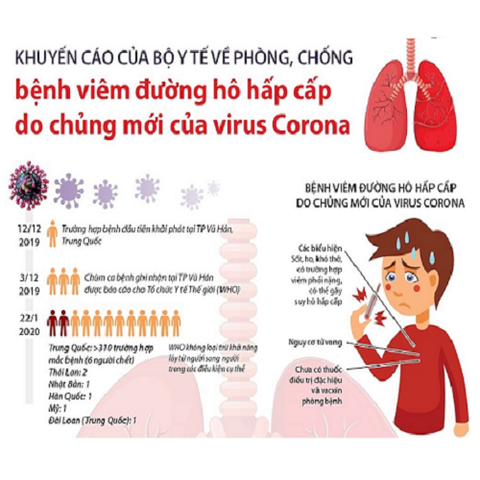 Sở Y tế TP.HCM nêu sáng kiến ngừa virus corona bằng tinh dầu tràm