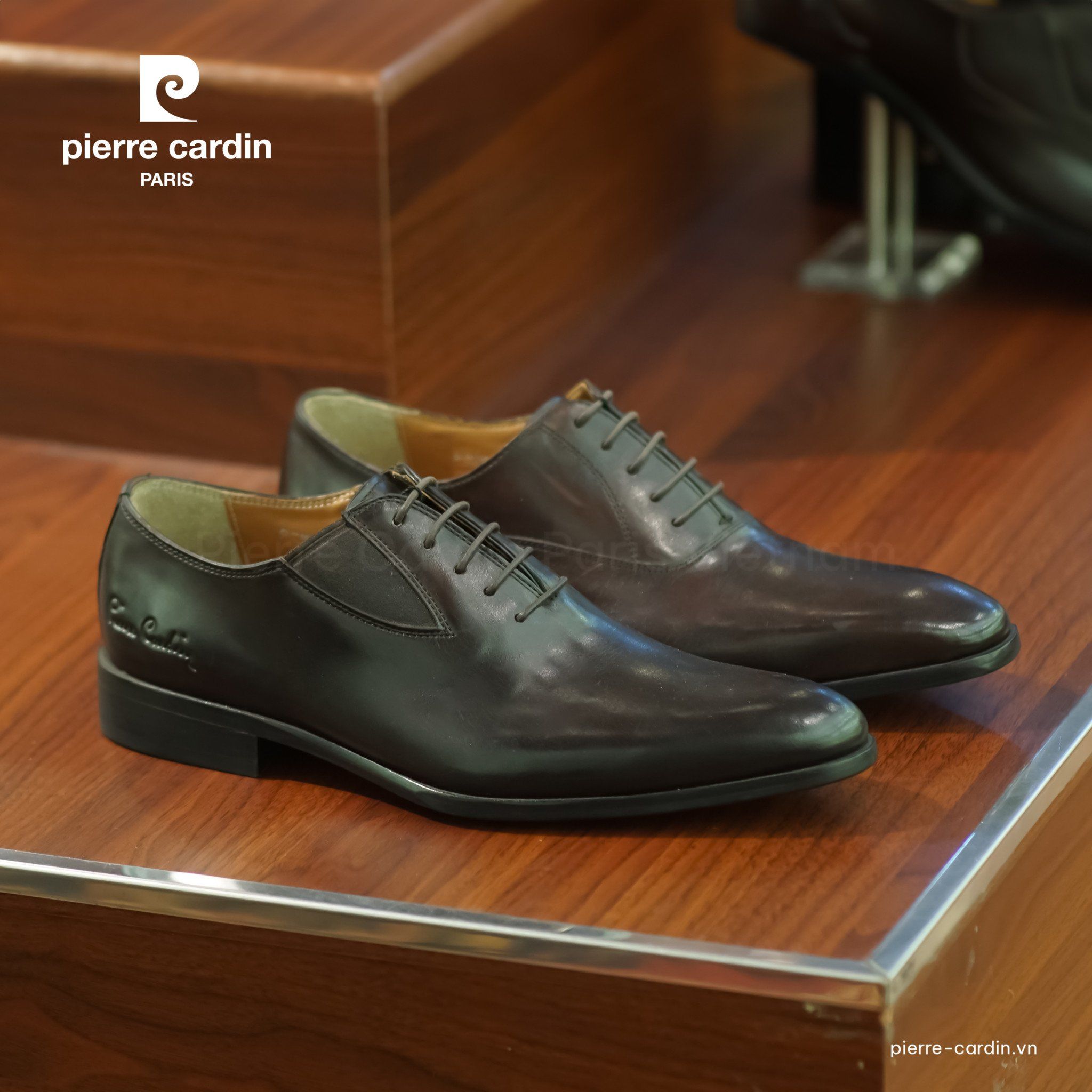 Pierre Cardin Luôn Mang Đến Những Bộ Sưu Tập Cho Mùa Lễ Hội