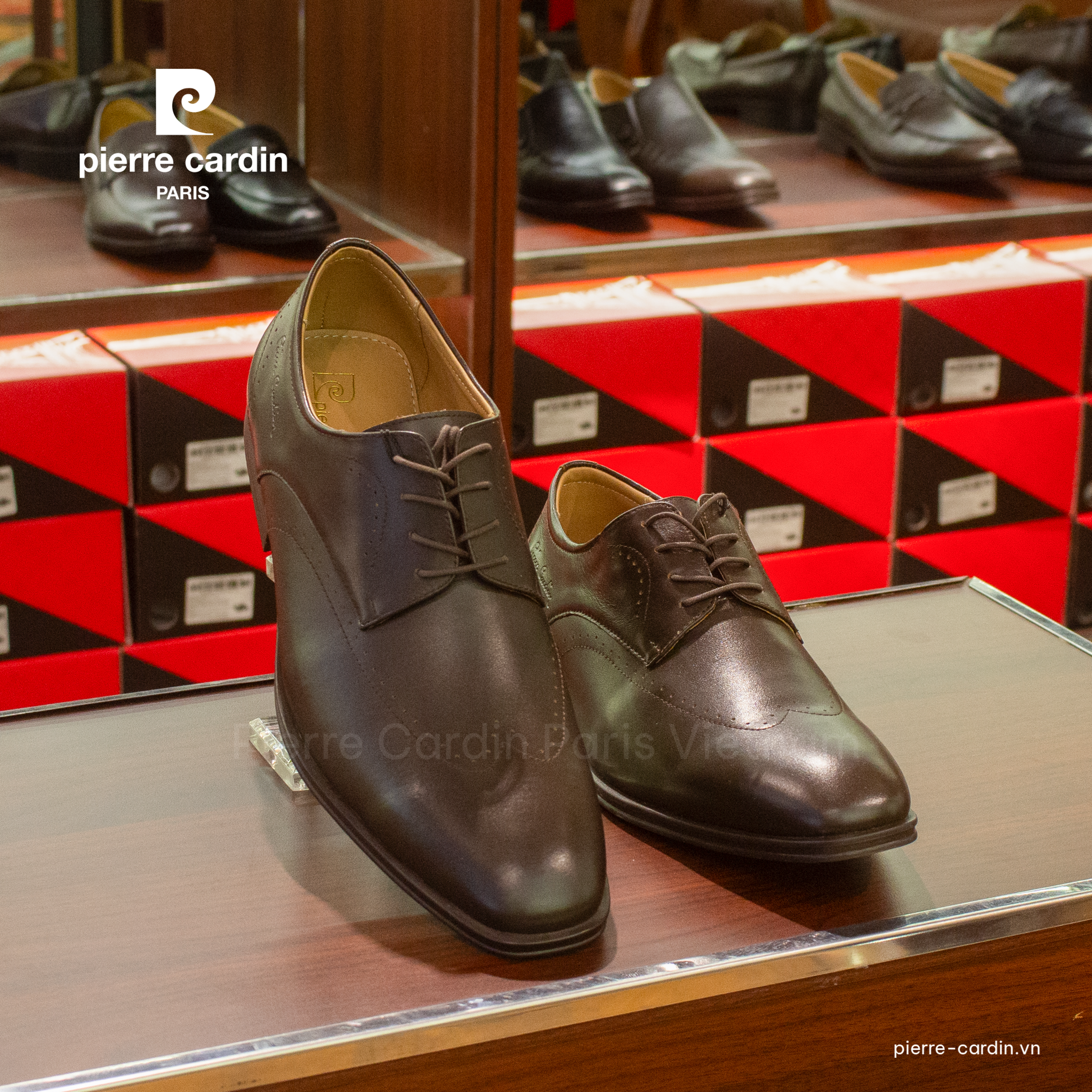 Pierre Cardin Paris Vietnam: Giày Brogue Derby Đế Độc Quyền Pierre Cardin - PCMFWLH 770 (BLACK & BROWN)