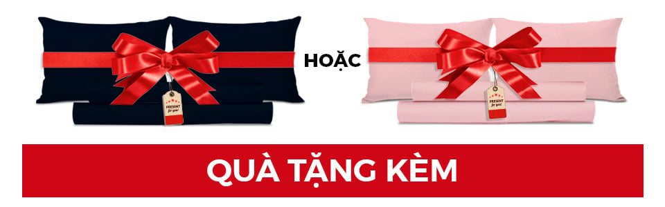 Mua nệm tặng drap