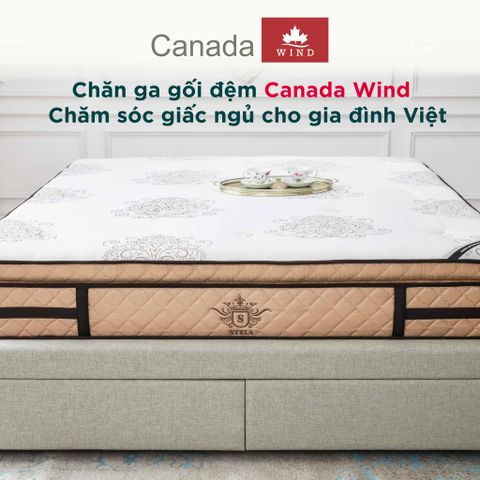 Chăn ga gối đệm Canada Wind - Chăm sóc giấc ngủ cho gia đình Việt