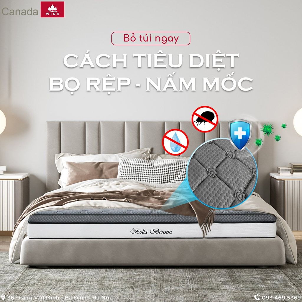 BỎ TÚI NGAY CÁCH TIÊU DIỆT BỌ RỆP, NẤM MỐC TRÊN ĐỆM – Chăn ga gối đệm ...