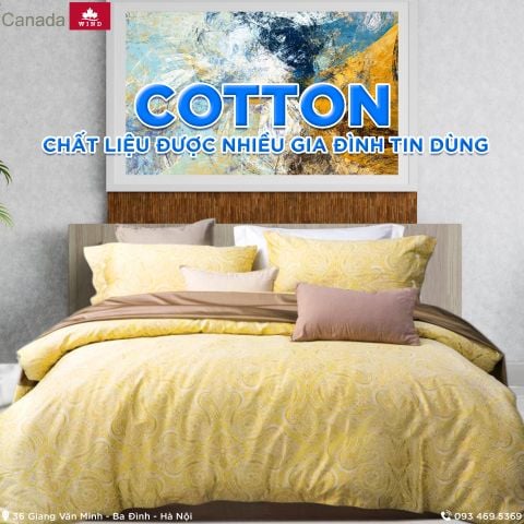Cotton là gì? Tại sao nhiều gia đình tin chọn chất liệu này đến vậy?