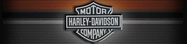 Xe mô hình Harley Davidson
