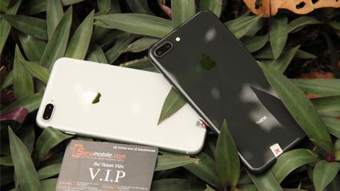 Những lý do giải thích tại sao nên mua iPhone 8 Plus cũ tại Sang Mobile