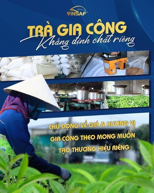 TRÀ GIA CÔNG _ KHẲNG ĐỊNH CHẤT RIÊNG
