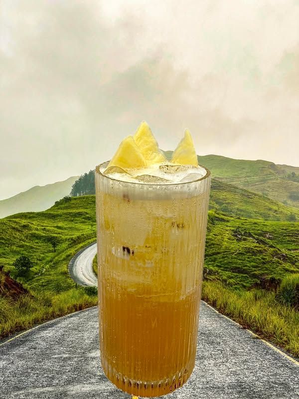 🍍Oolong Thanh Hương Vinsaf – Nguyên liệu cân bằng các hương vị 🍹
