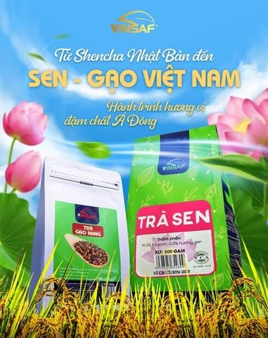 Trà Gạo Rang VINSAF kết hợp với Trà Sencha Nhật Bản