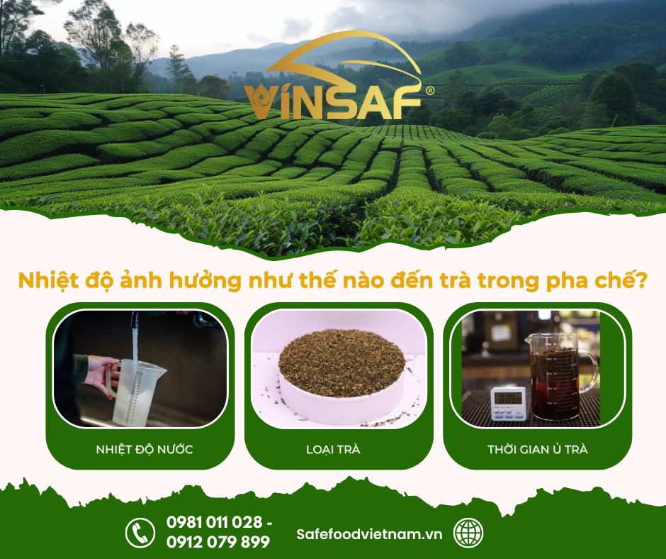 Nhiệt độ của nước có ảnh hưởng như thế nào đến chất lượng trà trong pha chế?