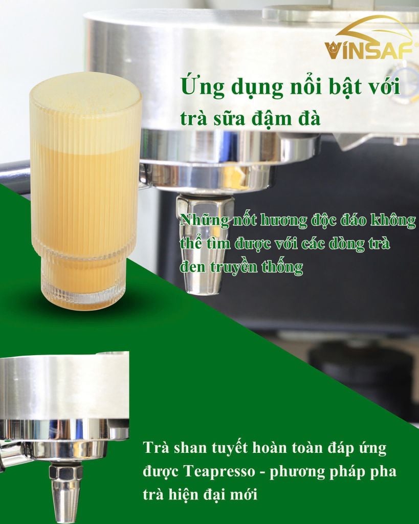 Những điều cần lưu ý khi sử dụng trà pha máy Teapresso và trà pha ủ truyền thống.