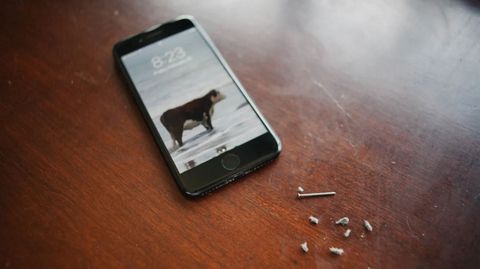 Cổng sạc Lightning trong iPhone của bạn có thể đang bị bẩn tới ghê người